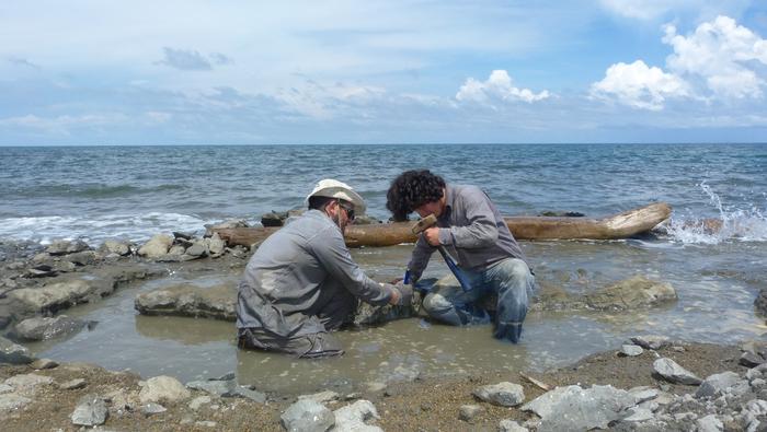 Field work in Piña beach