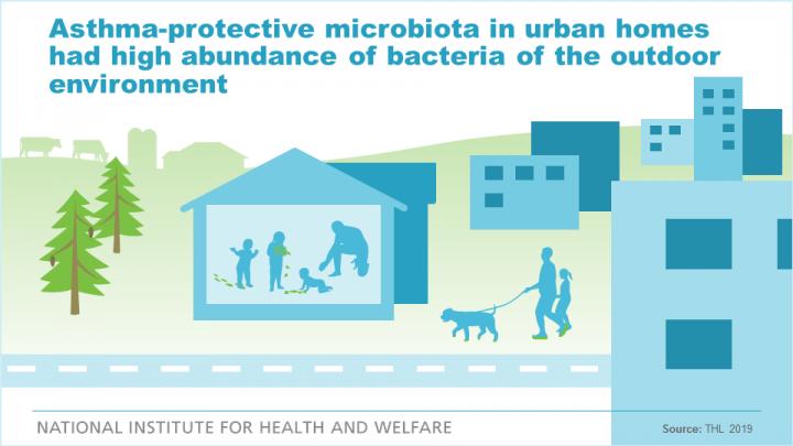 Astma-Protective Microbiota in Urban Homes
