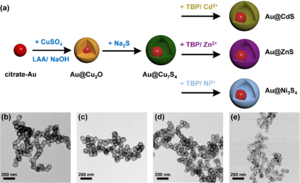 Schematic depiction of the synthetic procedure for Au@Cu7S4, Au@CdS, Au@ZnS, and Au@Ni3S4.