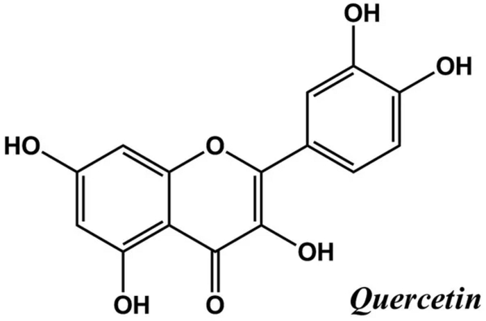 Enhancing water solubility and antioxidant properties of the polyphenol Quercetin