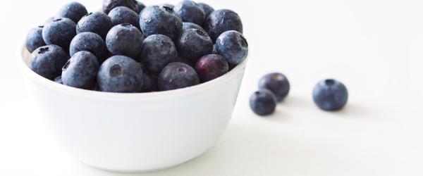 New Research Study on Blueberries