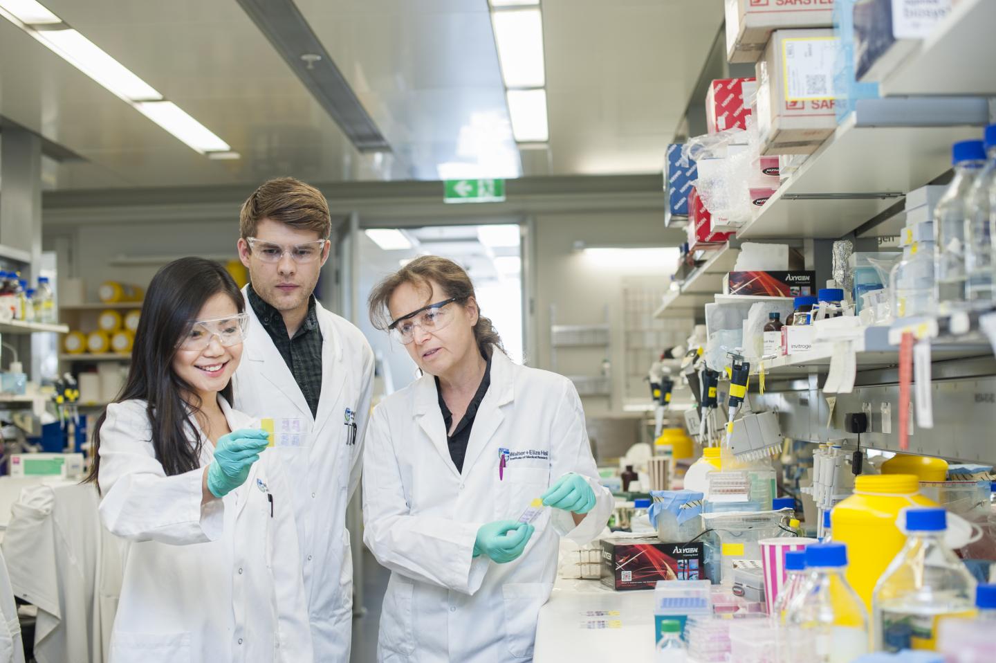 Francine Ke (left), Angus Cowan (center) and Anne Voss (right), Walter and Eliza Hall Institute