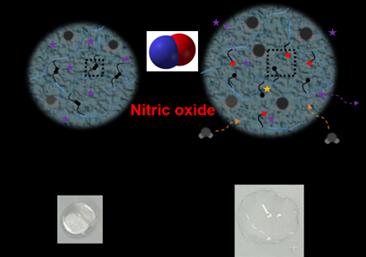 Hydrogel Responsive to Nitric Oxide
