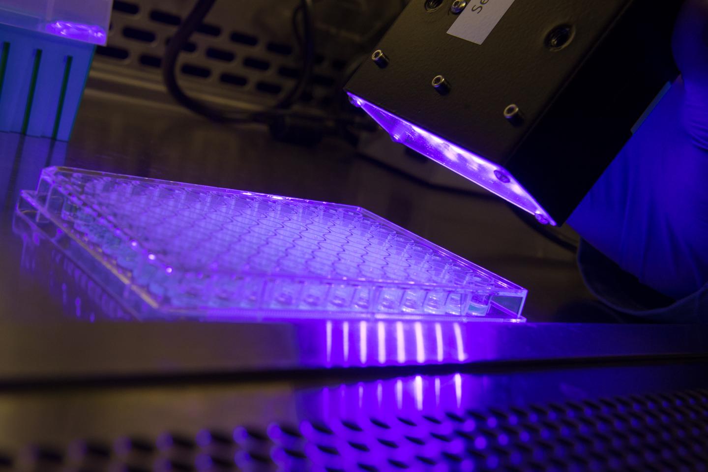 Light-Emitting Diode Array