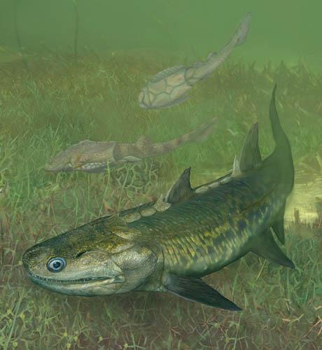 Life Restoration of <i>Meemannia eos</i>