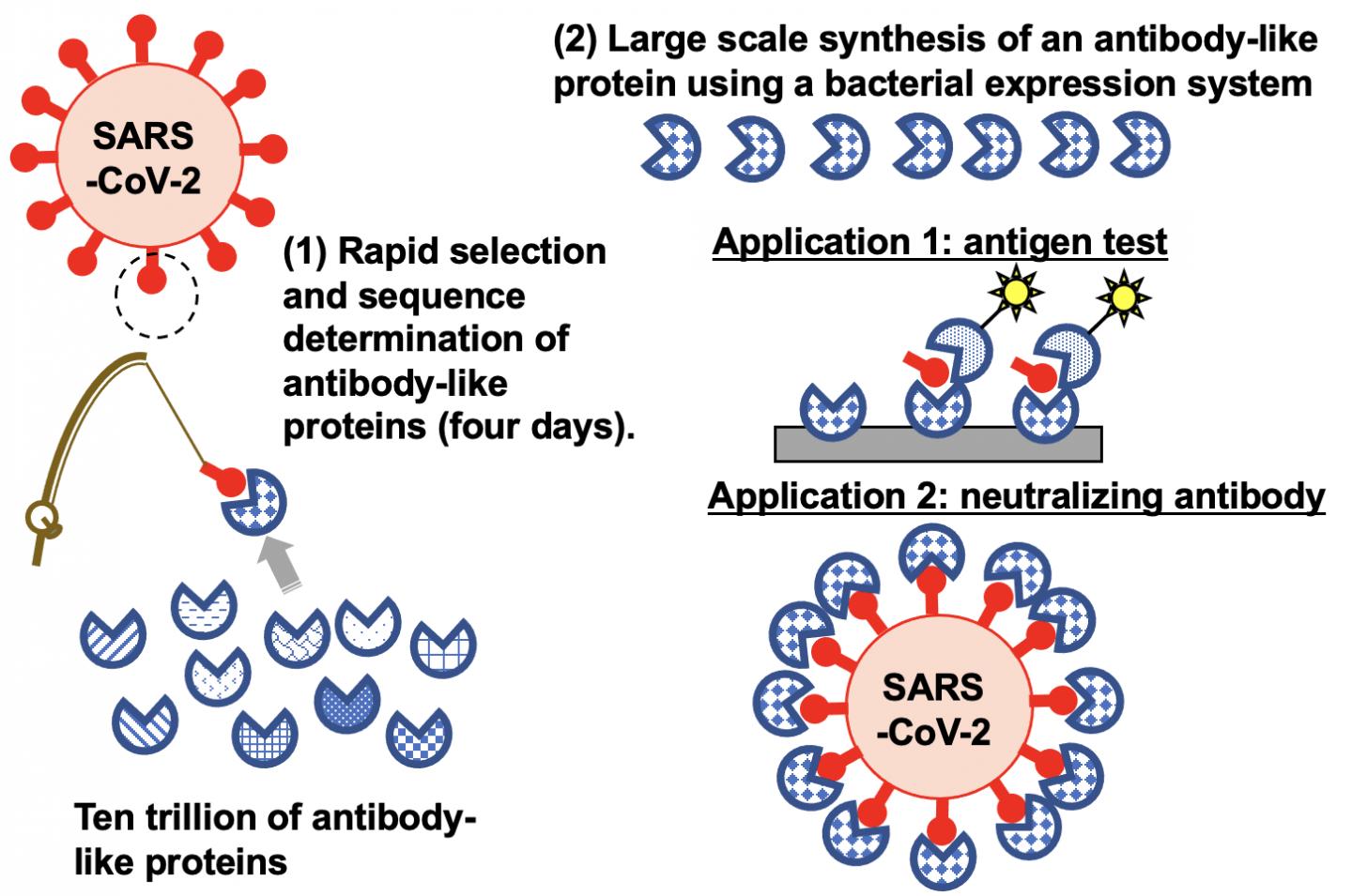 TRAP for Pandemic-Causing Viruses