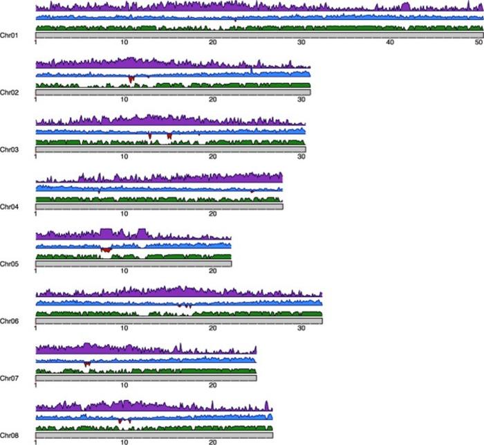 Density of genomic features of P. dulcis Texas v.3.0 chromosome-level assembly.