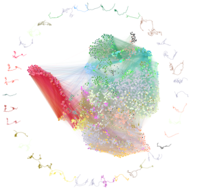 Diagram of neuron connectivity