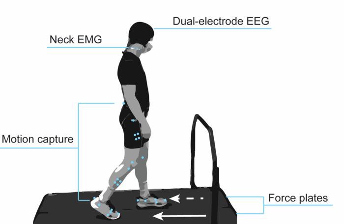 Split Treadmill Test Diagram