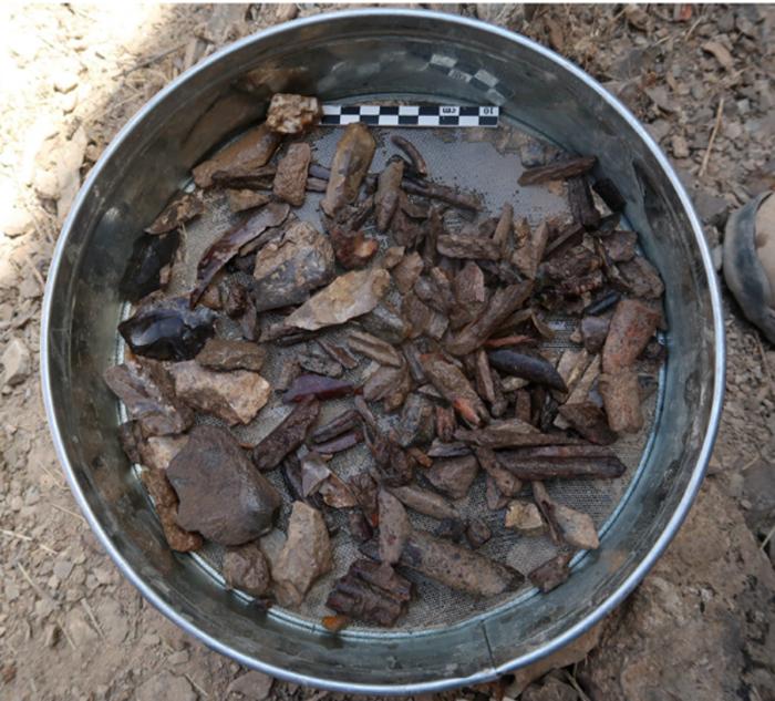 Bones and stone artifacts discovered during the excavations at Soii Havzak