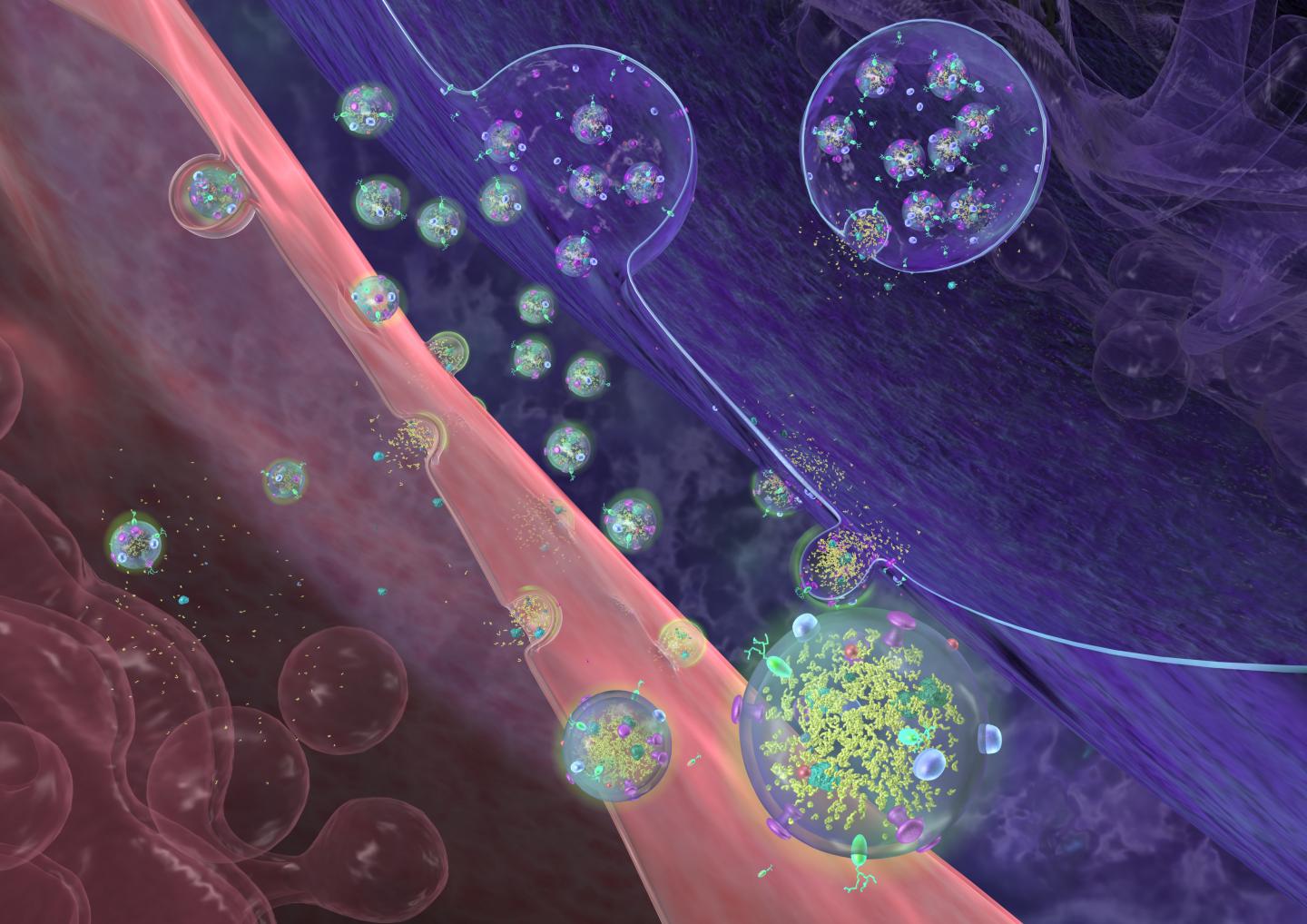 Signaling Breakthroughs of 2015: Microbial Fuel Cells, Cell Death, Cancer, and More (1 of 2)