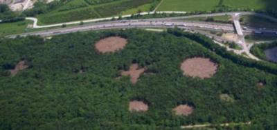 Overhead Shot of Glades in Restoration Experiment