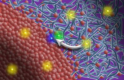 Molecular View of a Solar Cell