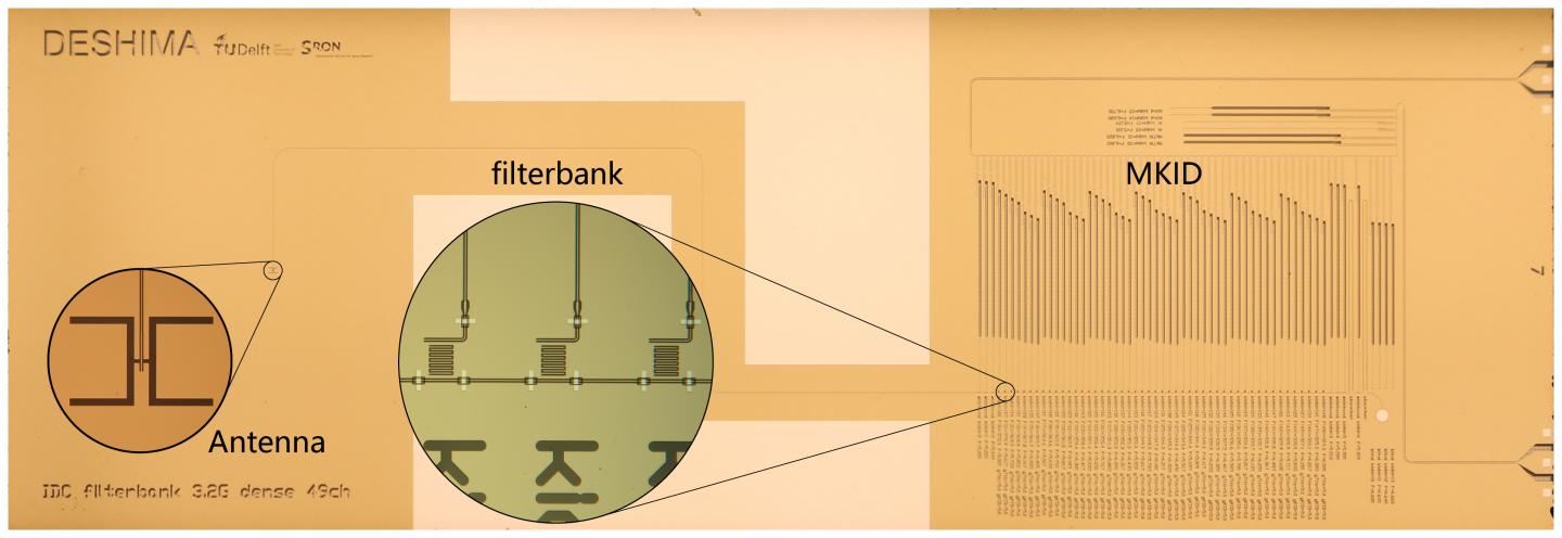 Microscope Photo of the DESHIMA Chip