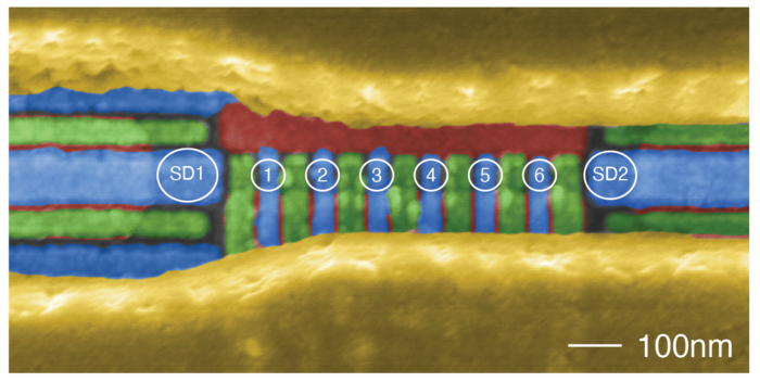 Six-qubit quantum processor in silicium