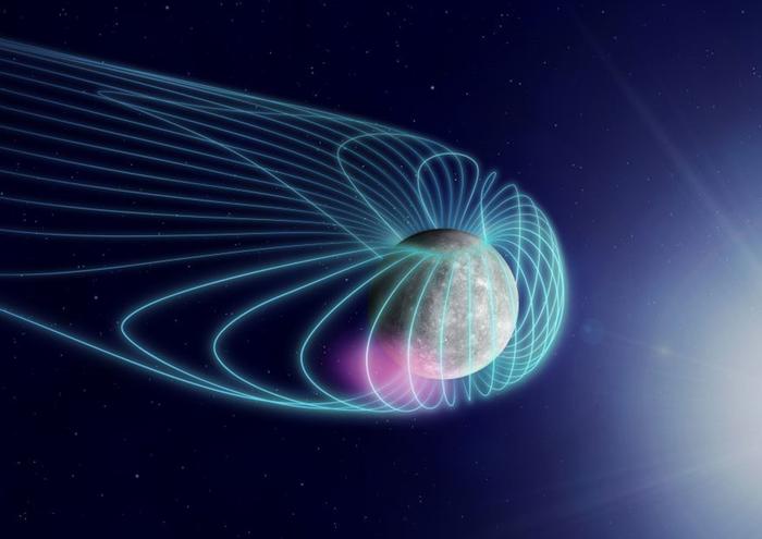 Whistler-mode waves in Mercury’s magnetosphere observed by BepiColombo/Mio