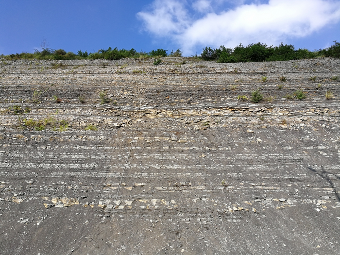Rocks from the Guizhou region
