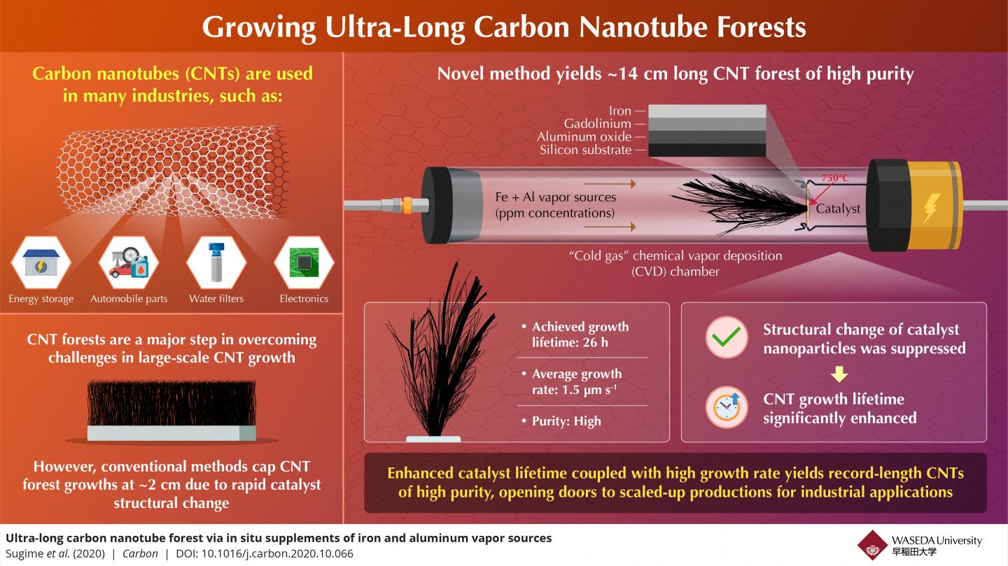 Carbon nanotube (CNT) forests