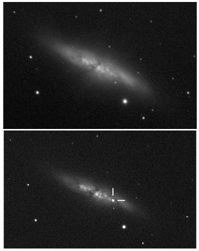 Supernova in Messier 82 Was Discovered by UCL Students