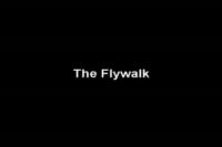 The 'Flywalk' Apparatus