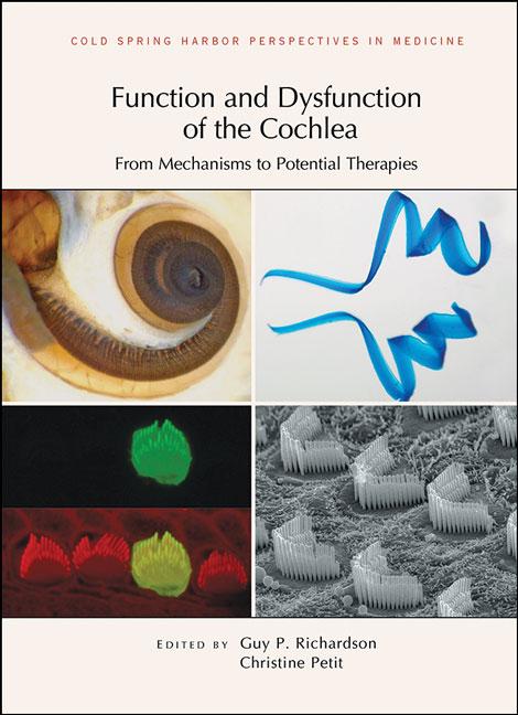 Function and Dysfunction of the Cochlea: From Mechanisms to Potential Therapies
