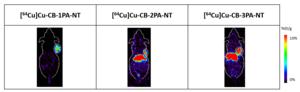 Representative PET image of three leading compounds in H1299 tumor mouse at 24 hours post-injection at 10 %ID/g scale.