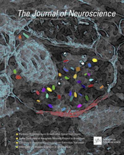 <i>The Journal of Neuroscience</i>