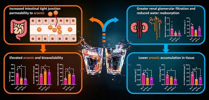 Graphical abstract.