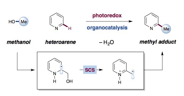 Reaction Scheme