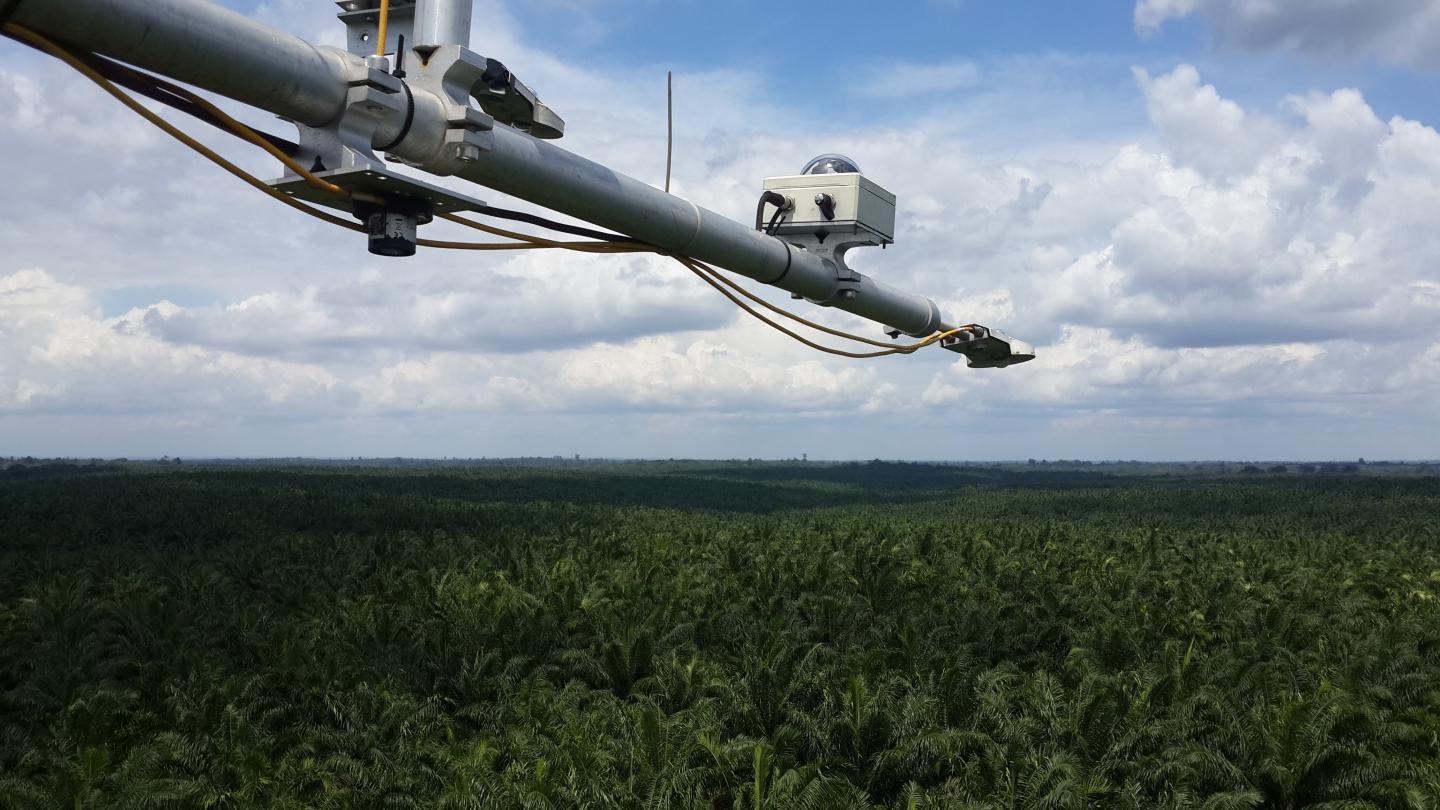 Sensors with rich green plantation and sky in background