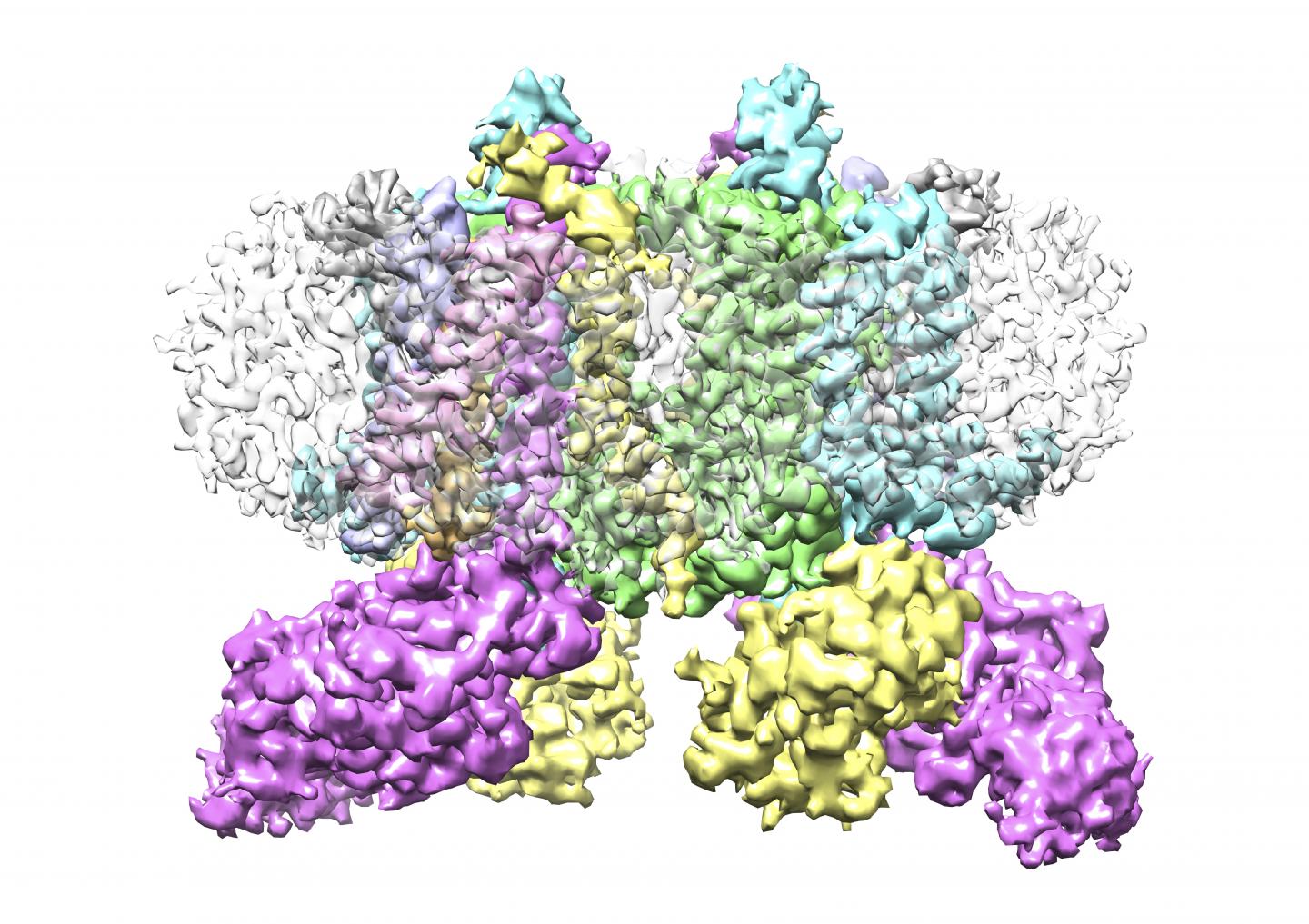 Protein Structure Solved by Study
