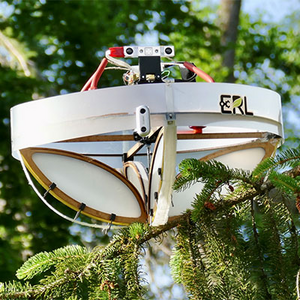 Special drone collects environmental DNA from trees