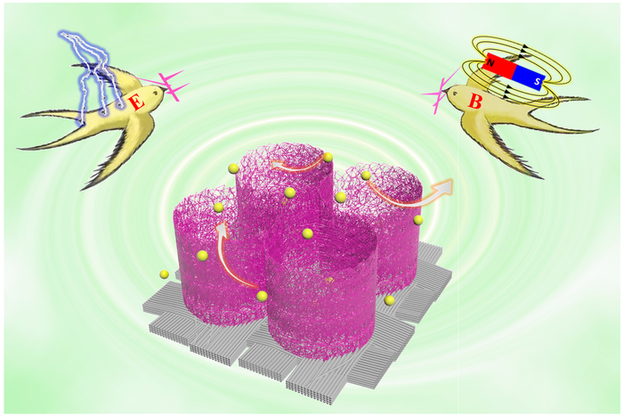 Magneto-electrodeposition Technique Offers New Solution for Supercapacitors