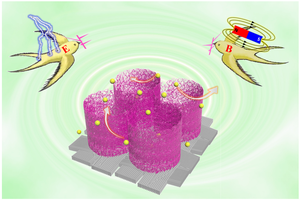 Magneto-electrodeposition Technique Offers New Solution for Supercapacitors