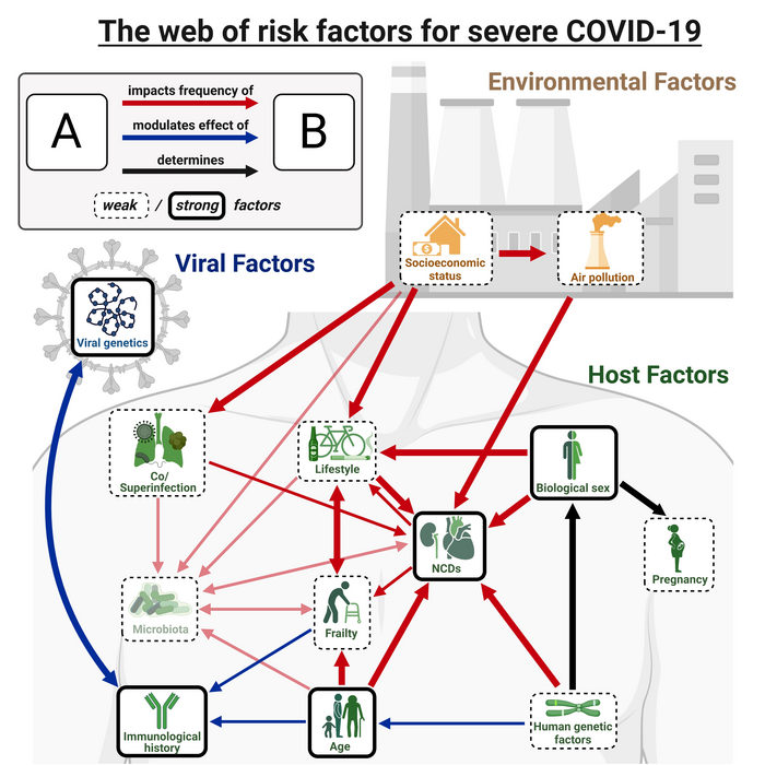 The web of risk factors of severe COVID-19