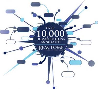 Reactome