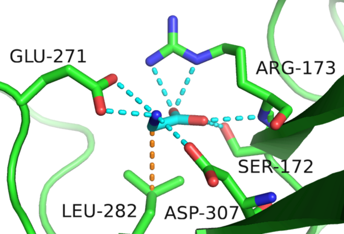 Possible Depression Receptor's Switch
