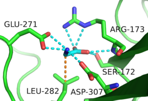 Possible Depression Receptor's Switch