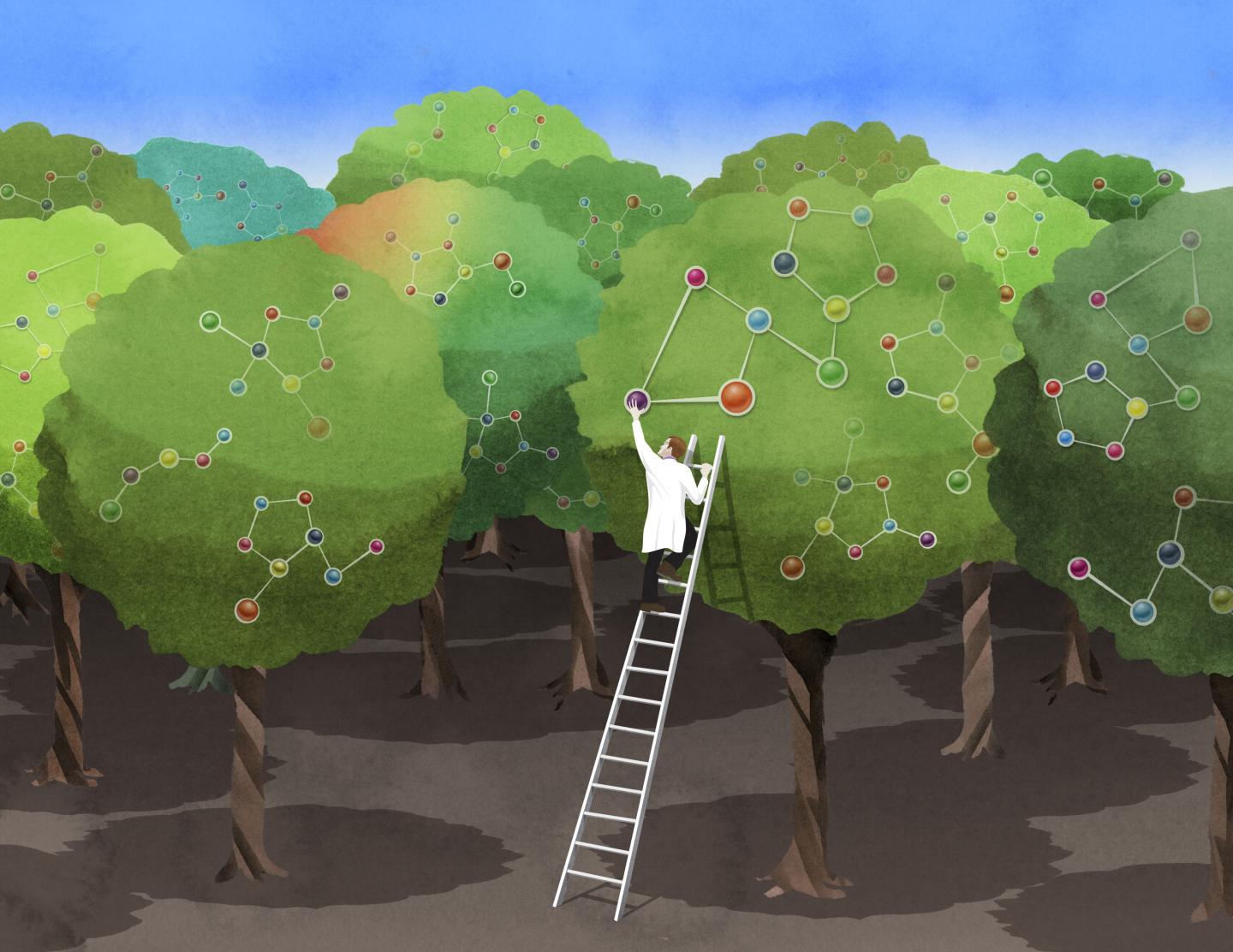 Scientist Picking Molecules from a Tree