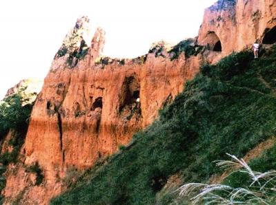 The Interleaved Reddened Fossil Soils and Paler Windblown Dust Layers