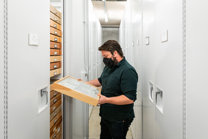 Collection Manager Christopher Grinter in Academy Entomology Collection