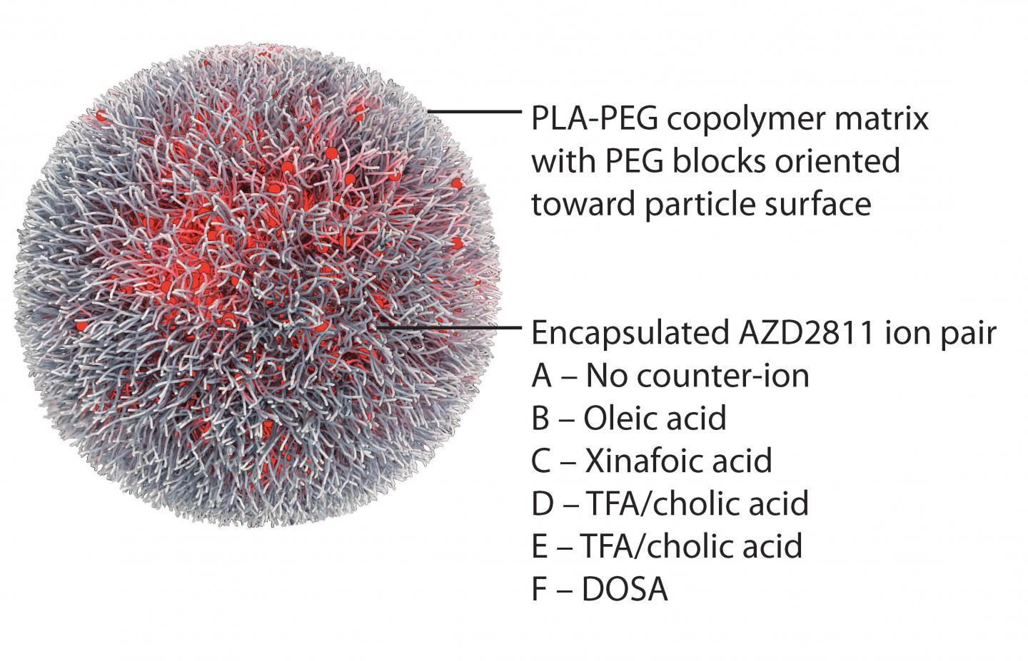 Nanoparticle Reduces Targeted Cancer Drug's Toxicity