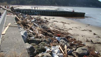 Damage and Debris from the February 2010 Earthquake and Tsunami