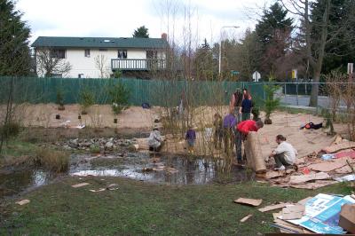 Restoration Ecology Project