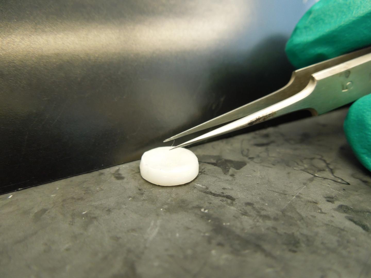 Hair Follicle Growth