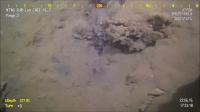 Methane hydrate is not a smoking gun in the A | EurekAlert!