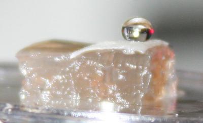 A Drop of Ethanol Solution Beads Up on the Surface of a <I>Bacillus subtilis</I> Biofilm Colony
