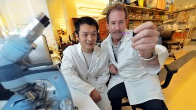 Rui Wang and Dr. Darren Browning, Medical College of Georgia at Georgia Regents University