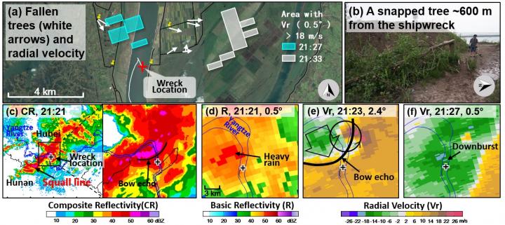 Fallen Trees and Radar