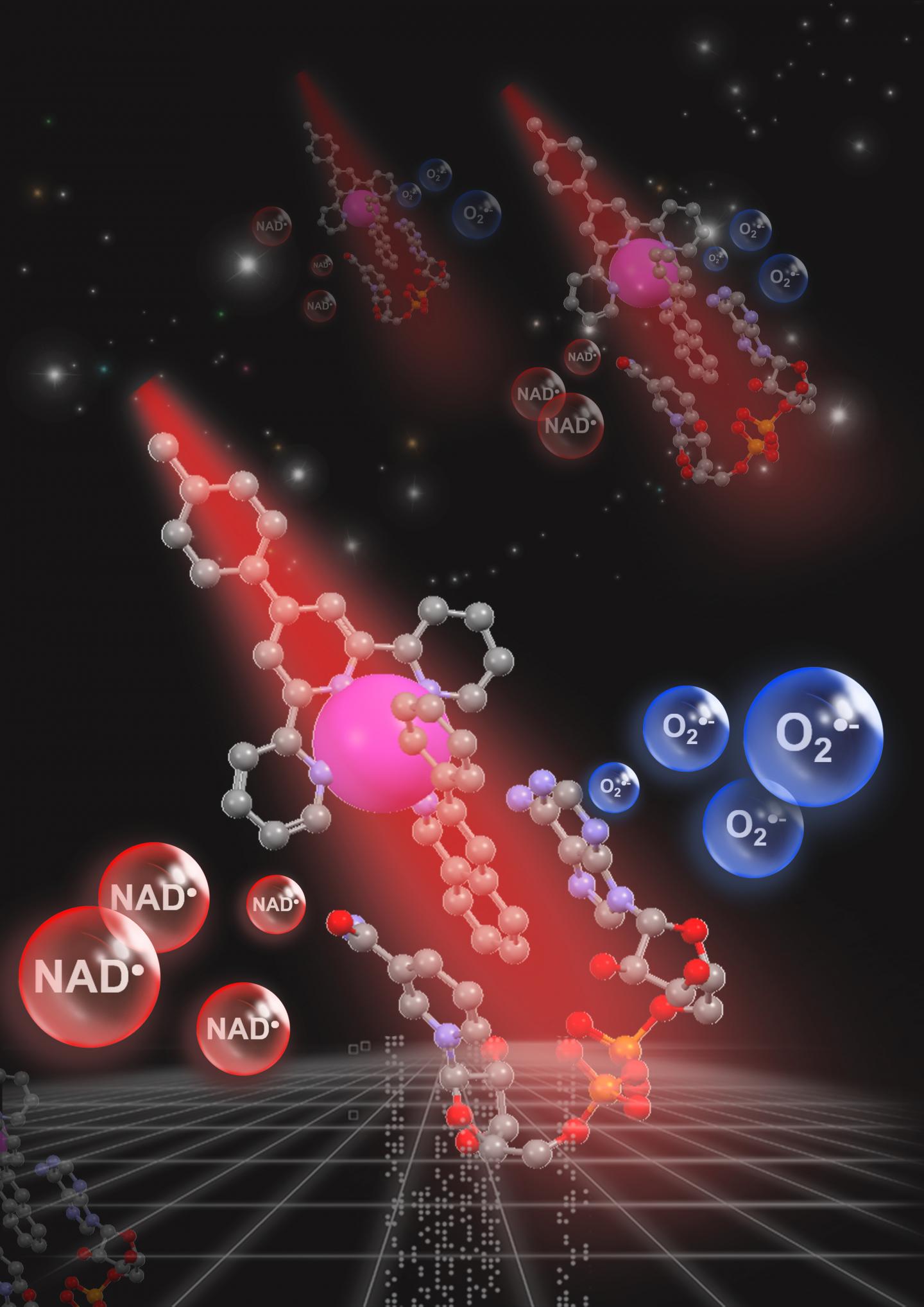 Light activating an Iridium Catalyst